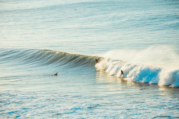 Surfers and Waves at Bells Beach, Australia