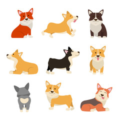 Cartoon Color Characters Welsh Corgi Set. Vector
