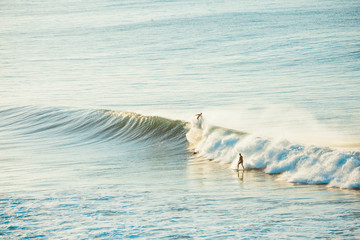 Surfers and Waves at Bells Beach, Australia
