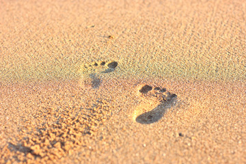 Footprints in the sand towards the sea