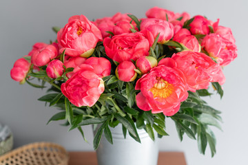 Coral peonies in a metal vase. Beautiful peony flower for catalog or online store. Floral shop...