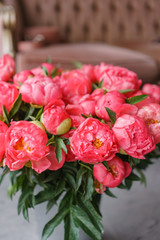 Coral peonies in a metal vase. Beautiful peony flower for catalog or online store. Floral shop concept . Beautiful fresh cut bouquet. Flowers delivery
