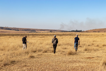 People walking through an African grassland