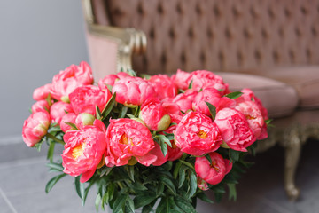 Coral peonies in a metal vase. Beautiful peony flower for catalog or online store. Floral shop concept . Beautiful fresh cut bouquet. Flowers delivery