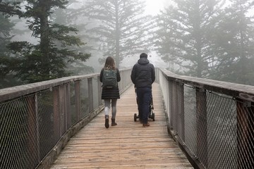 Baumwipfelpfad in bad wildbad im Schwarzwald 