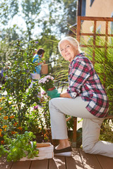 Seniorin im Garten beim Einpflanzen von Blumen