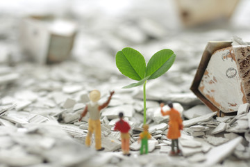 災害から月日が経ち瓦礫の中から緑や花が再生した街と人々