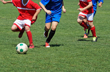 Fototapeta premium Young boys are playing soccer