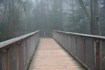 Baumwipfelpfad in bad wildbad im Schwarzwald 