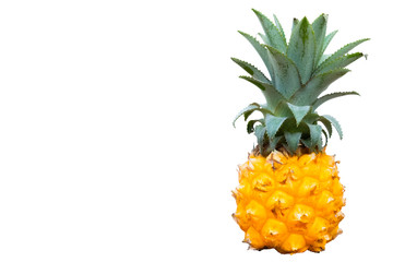 Pineapple On White Isolate Background