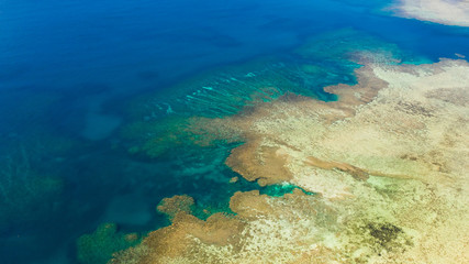Texture of the seabed with coral reefs aerial view.Clear sea water in shallow water.