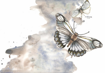  gray watercolor stain with butterflies