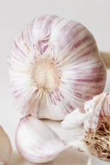 Purple stripe garlic on white background