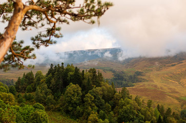 Lonely pine on a cliff and a view in Lago Naki Plateau, Adygea, Russia