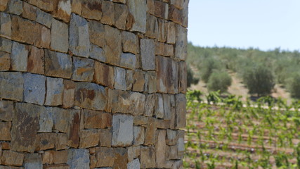 Close up of stone wall with vineyard in background