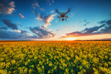 Flying drone over the rapeseed field and dramatic sunset clouds