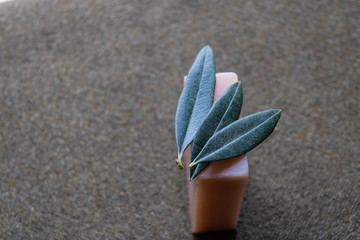 Handmade olive soap with the leaves of olive tree on the top - Image