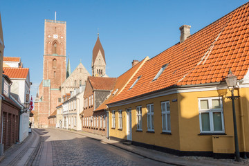 Obraz premium Ribe old village in Denmark.