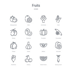 set of 16 fruits concept vector line icons such as spring onion, watermelon, cherry, radishes, avocado, melon, garlic, pitaya. 64x64 thin stroke icons