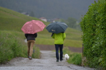 Spaziergänger mit Hund im Regen