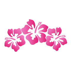 Beautiful hibiscus summer flower vector illustration © NATALIIA TOSUN