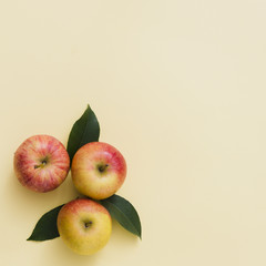 Top view apple group