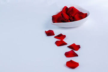 Red roses petals isolated on a white background