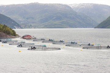 Fish farm - Norway