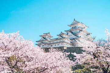 Foto op Plexiglas 姫路城の桜 -Sakura- Cherry Blossoms and Himeji Castle ©  Akihito Kariya