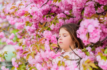 Get rid of seasonal allergy. Girl enjoying floral aroma. Kid on pink flowers sakura tree background. Child enjoy life without allergy. Sniffing flowers. Allergy remedy. Pollen allergy concept