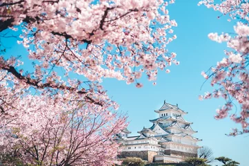 Foto op Canvas 姫路城の桜 -Sakura- Cherry Blossoms and Himeji Castle ©  Akihito Kariya