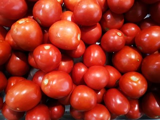 group of tomato