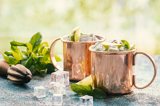 2,317 BEST Moscow Mule IMAGES, STOCK PHOTOS & VECTORS | Adobe Stock
