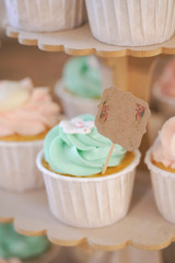 cupcakes and cookies in pink and turquoise colors
