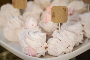 cupcakes and cookies in pink and turquoise colors