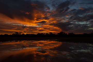 Fototapeta na wymiar beautiful Panoramic sunset in the queensland outback 200 km north of cloncurry, queensland australia