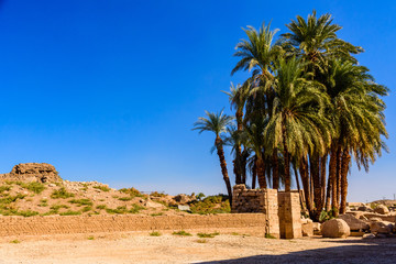 Palms on ruins of the ancient Karnak temple. Luxor, Egypt