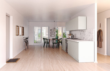 modern scandinavian style kitchen interior.