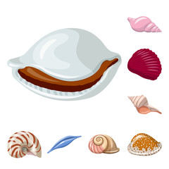 Isolated object of seashell and mollusk icon. Set of seashell and seafood  stock vector illustration.