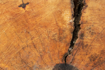 Texture background Wooden stump