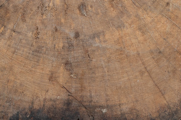 Naklejka premium Texture background Wooden stump