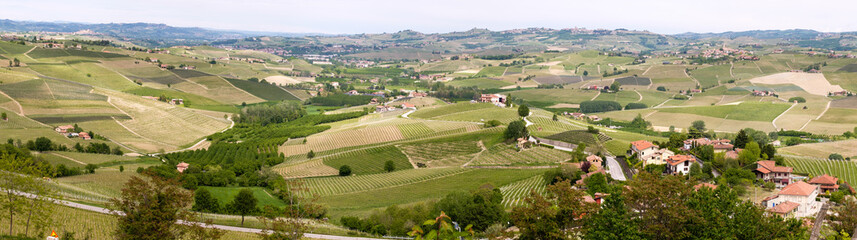 Fototapeta na wymiar Panoramic landscape Langhe vineyards. Springtime scene. Viticulture in Barolo, Piedmont, Italy, Unesco heritage. Barolo, Nebbiolo, Barbera, Dolcetto, Barbaresco red wine.