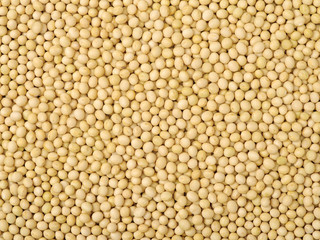 Soybean background