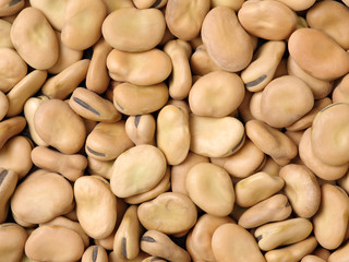 Pile of broad beans, background