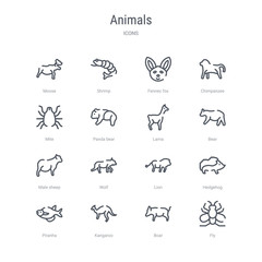 set of 16 animals concept vector line icons such as fly, boar, kangaroo, piranha, hedgehog, lion, wolf, male sheep. 64x64 thin stroke icons