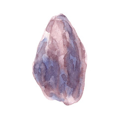 Hand painted watercolor Prunes clipart. Isolated on white background. Watercolor hand drawn illustration for logo