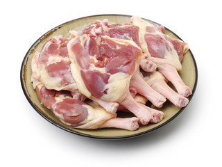 Duck legs on the white background
