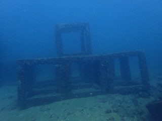 海底の人工物に住む魚たち