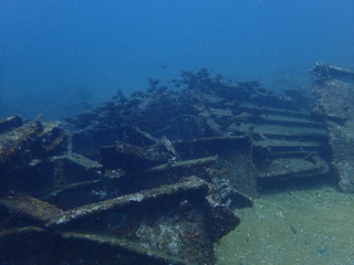 海底の人工物に住む魚たち