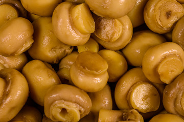Texture of the canned mushrooms for the background
